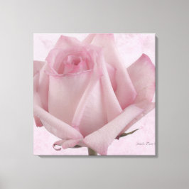 Lienzo Flor rosa suave