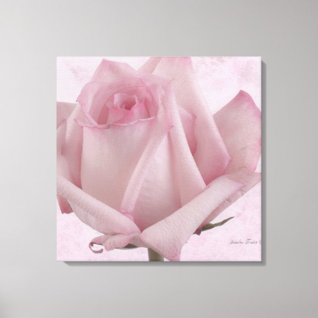 Lienzo Flor rosa suave (Anverso)