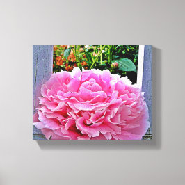 Lienzo Flor ruidosa de peones rosados bonitos