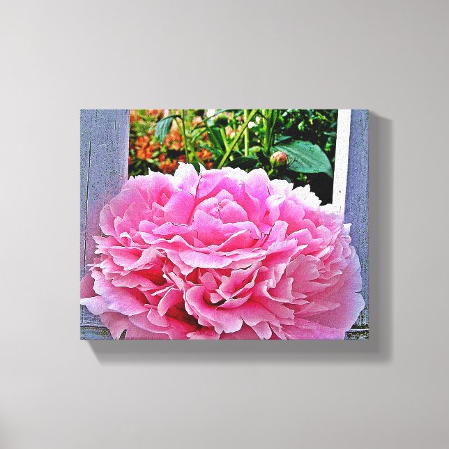 Lienzo Flor ruidosa de peones rosados bonitos (Anverso)