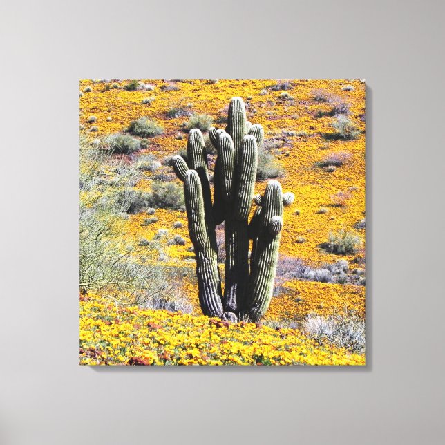 Lienzo Flor silvestre (Anverso)