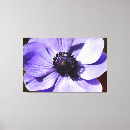 Lienzo Flor silvestre azul lilac azul anemone