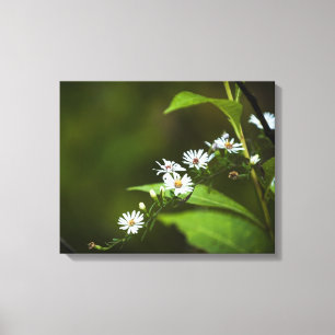 Lienzo Flor silvestre blanca