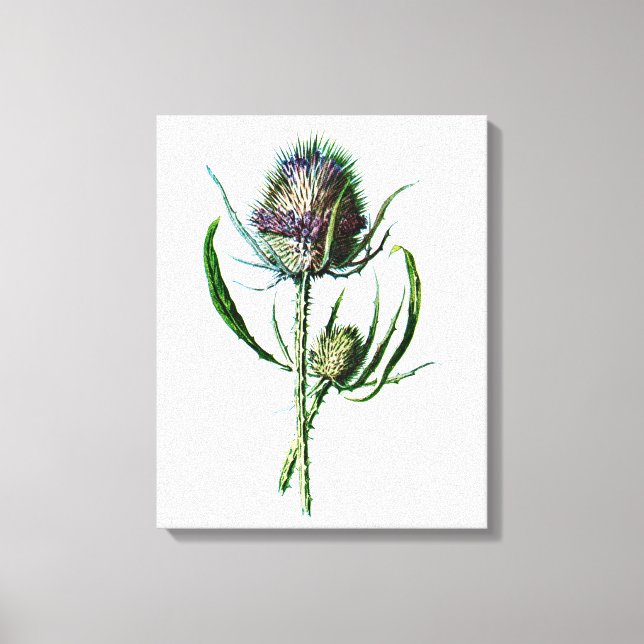 Lienzo Flor silvestre de época escocesa de 1902 (Anverso)