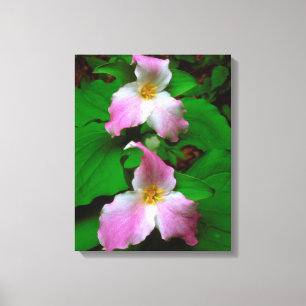 Lienzo Flor silvestre de Trillium