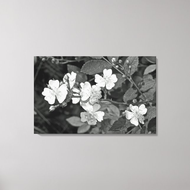 Lienzo Flor silvestre multiflora - Negro Y Blanco (Anverso)