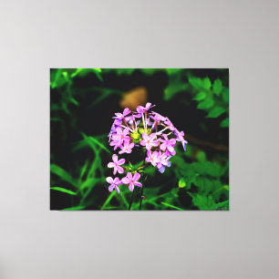 Lienzo Flor silvestre rosa vibrante