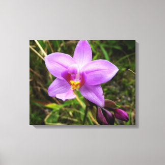 Lienzo Flor tropical púrpura de orquídea salvaje