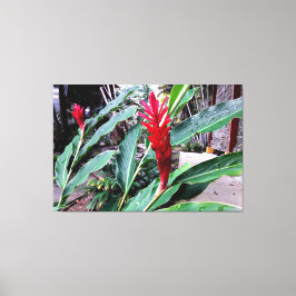 Lienzo flor vermelha