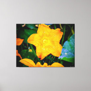 Lienzo Flor vibrante de calabacín amarillo