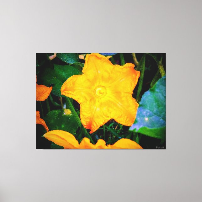 Lienzo Flor vibrante de calabacín amarillo (Anverso)