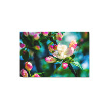 Flor y brotes de arvejas