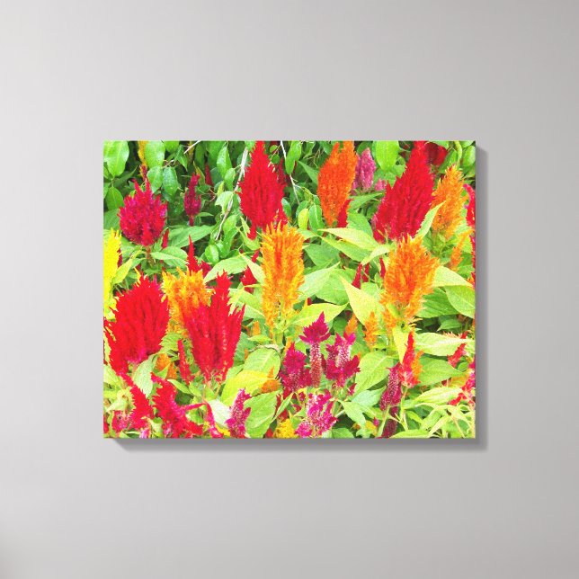 LIENZO FLORA COLORIDA #1 (Anverso)
