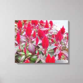 LIENZO FLORA COLORIDA #2