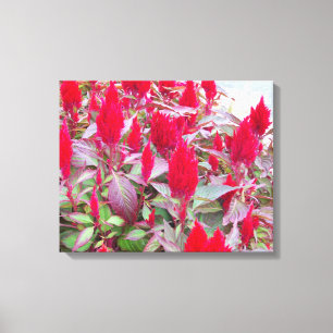 LIENZO FLORA COLORIDA #2