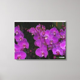 LIENZO FLORA COLORIDA #3