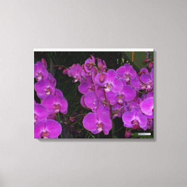 LIENZO FLORA COLORIDA #3 (Anverso)