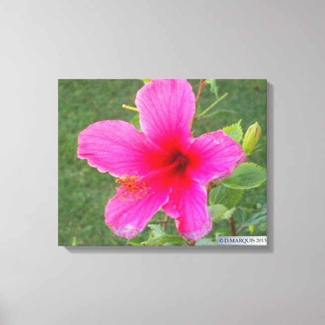 LIENZO FLORA COLORIDA #5 (Anverso)