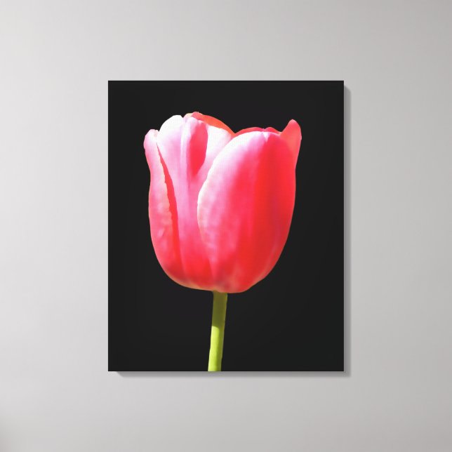 Lienzo Floración de Tulipán Elegante (Anverso)