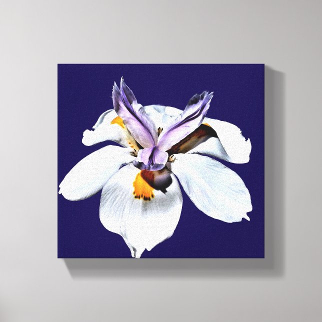 Lienzo Floral African Iris (Anverso)