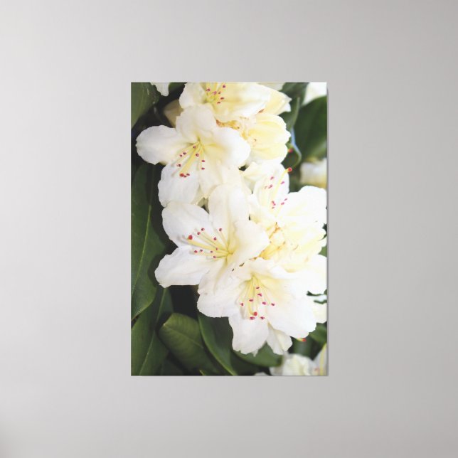 Lienzo Floral blanca cremosa (Anverso)