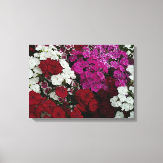 Lienzo Floral blanca, rosa y roja de Dianthus