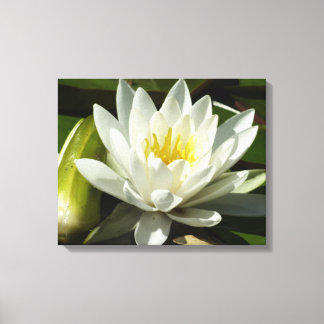 Lienzo Floral blanca y azul