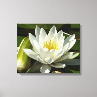 Lienzo Floral blanca y azul