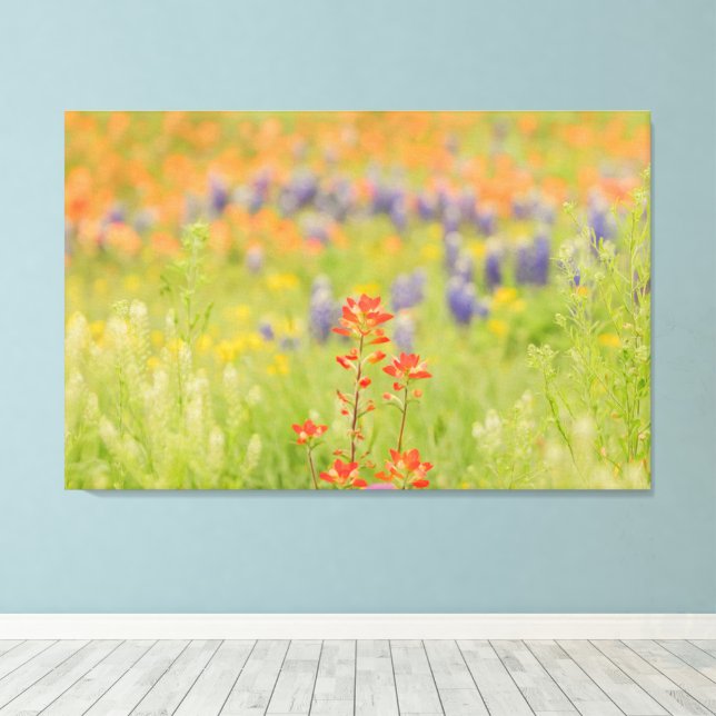 Lienzo Floral Bluebonnet Foto de Texas Hill Country (Insitu (piso de madera))