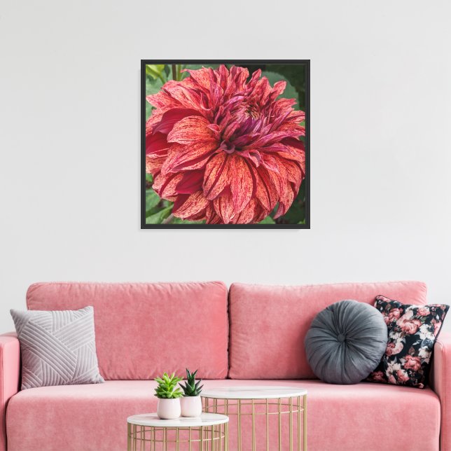 Lienzo Floral Dahlia Bloom Variada Roja (Insitu (Sala de estar))