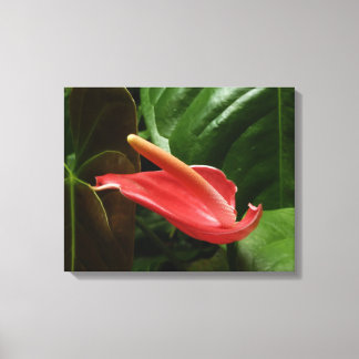 Lienzo Floral de Calla Rosa Lily Elegant