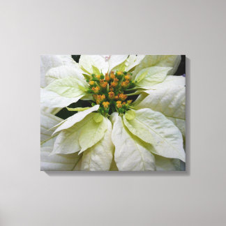 Lienzo Floral de feriado de Navidades elegantes de Poinse