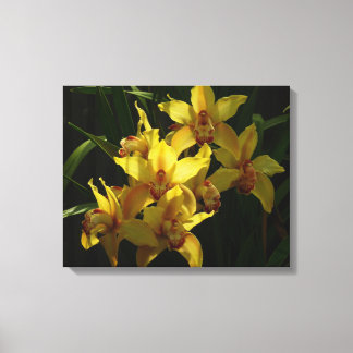 Lienzo Floral de orquídeas amarillas soleadas