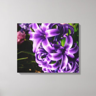Lienzo Floral de primavera azul Hyacinin II
