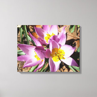 Lienzo Floral de primavera de cruces rosas