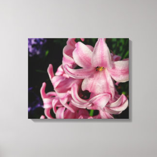 Lienzo Floral de primavera de Hyacint rosado