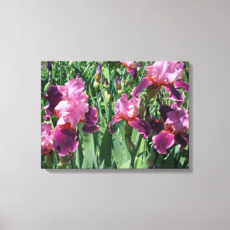 Lienzo Floral de primavera de irisis moradas