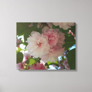 Lienzo Floral de primavera del árbol de cerezo doble flor