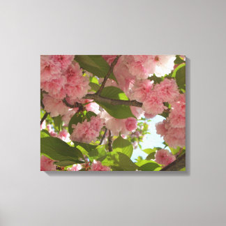 Lienzo Floral de primavera del árbol de cerezo III con do