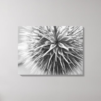 Lienzo Floral fotográfica en blanco y negro