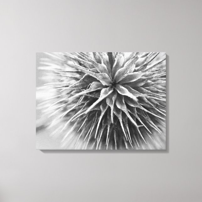 Lienzo Floral fotográfica en blanco y negro (Anverso)