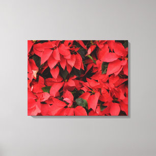 Lienzo Floral navideña de Navidades de la Poinsettias Roj