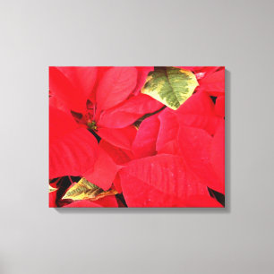 Lienzo Floral Navideña Poinsettias Holly Point