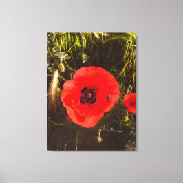 Lienzo Floral Poppy Dreamer – Botanical Fantasy Art