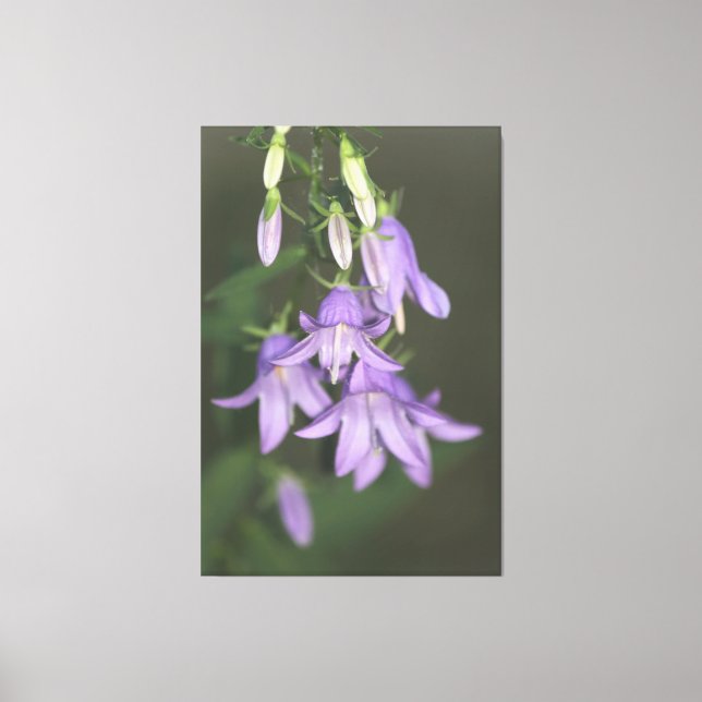 Lienzo floral púrpura (Anverso)