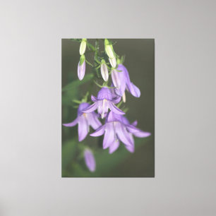 Lienzo floral púrpura