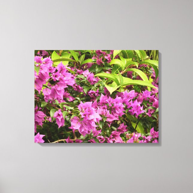 Lienzo Floral Tropical Morada Bougainvillea (Anverso)