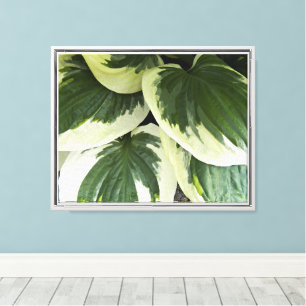 Lienzo Floral vegetal Hosta Variada