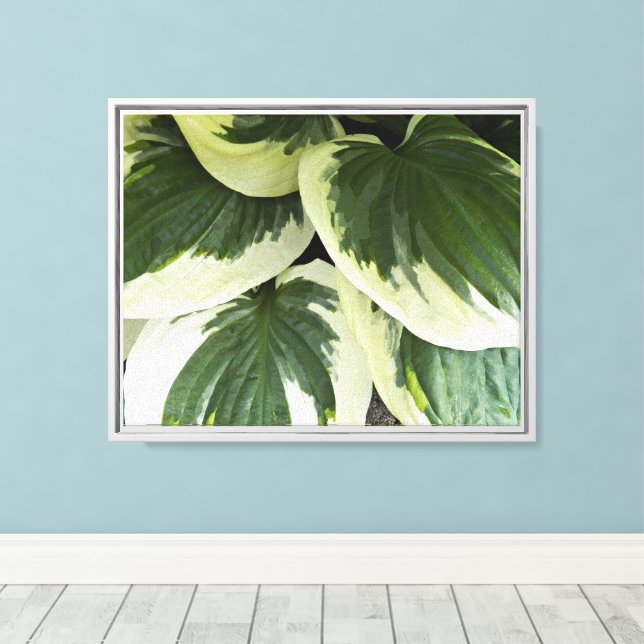 Lienzo Floral vegetal Hosta Variada (Insitu (piso de madera))