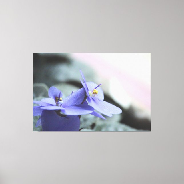 Lienzo floral violeta púrpura (Anverso)